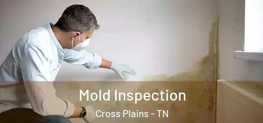 Mold Inspection Cross Plains - TN