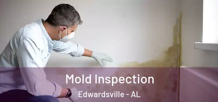 Mold Inspection Edwardsville - AL