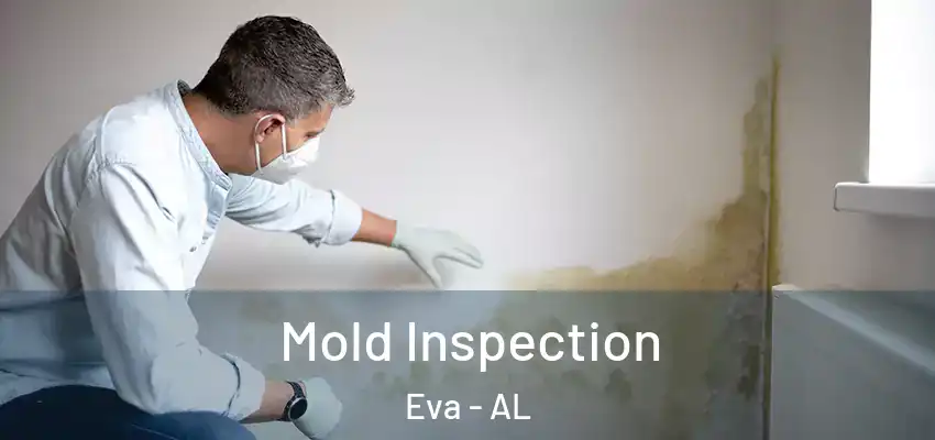  Mold Inspection Eva - AL