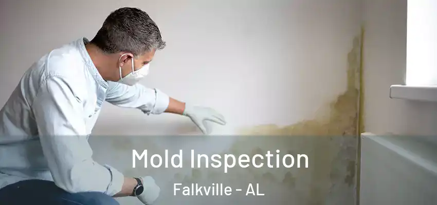  Mold Inspection Falkville - AL
