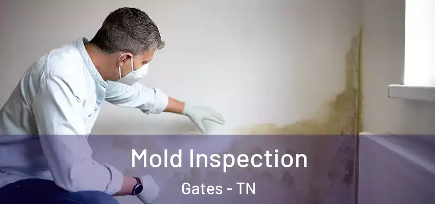  Mold Inspection Gates - TN