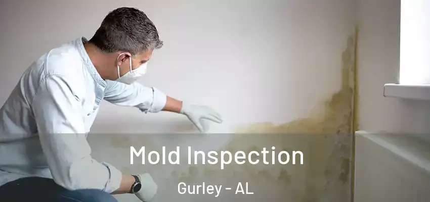  Mold Inspection Gurley - AL