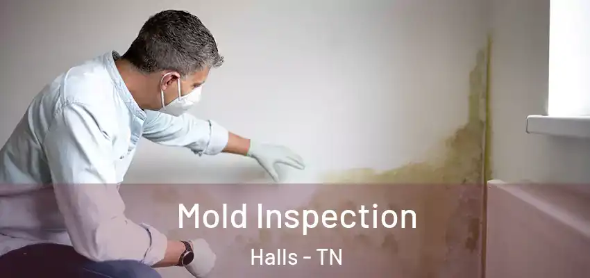 Mold Inspection Halls - TN