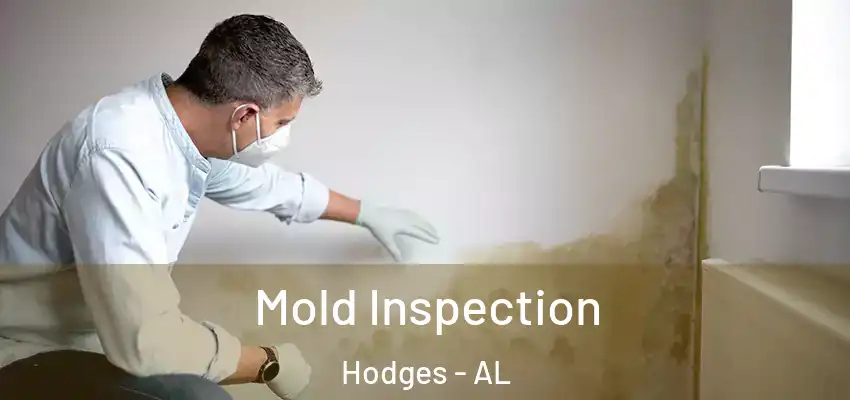 Mold Inspection Hodges - AL