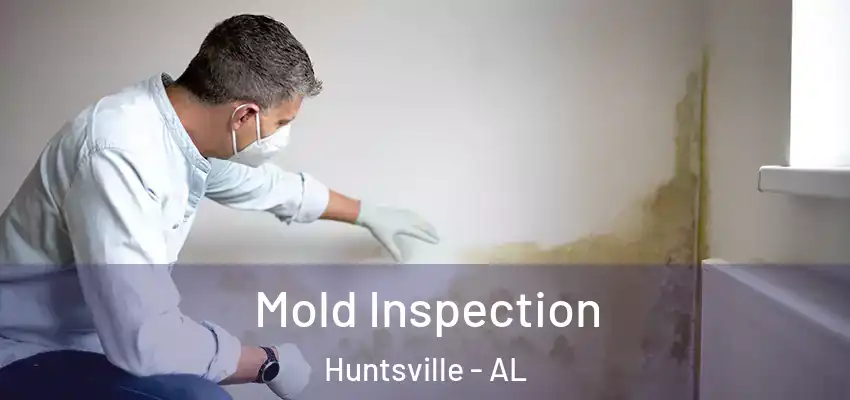  Mold Inspection Huntsville - AL