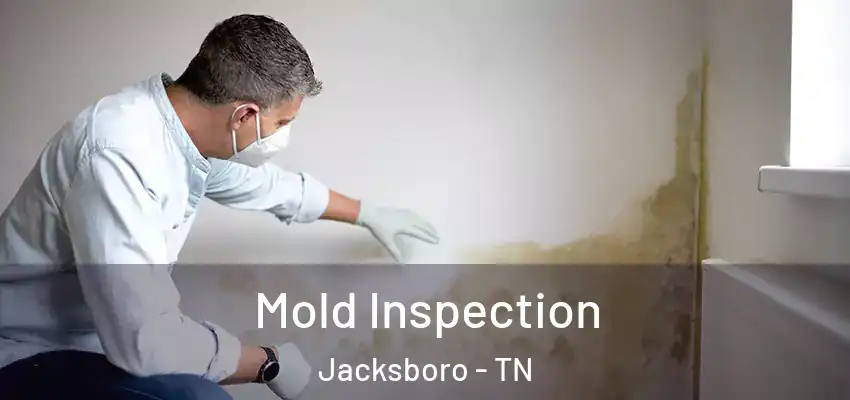 Mold Inspection Jacksboro - TN