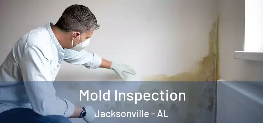 Mold Inspection Jacksonville - AL