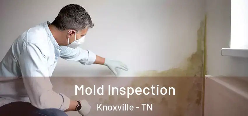 Mold Inspection Knoxville - TN