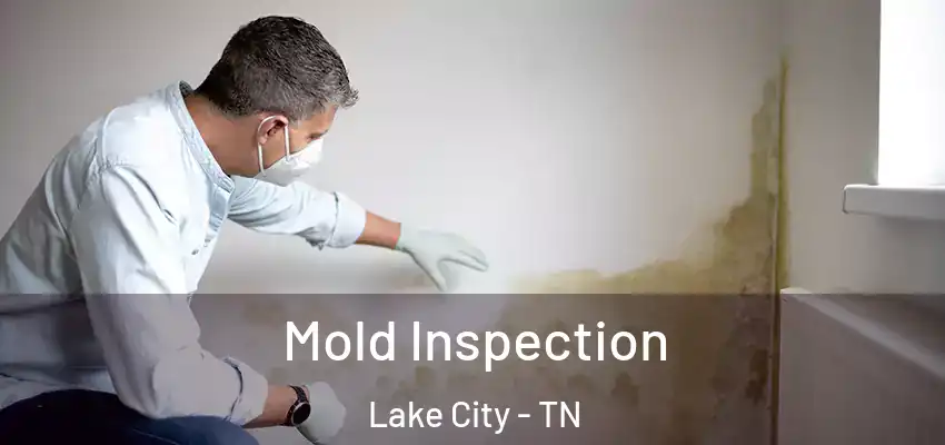  Mold Inspection Lake City - TN