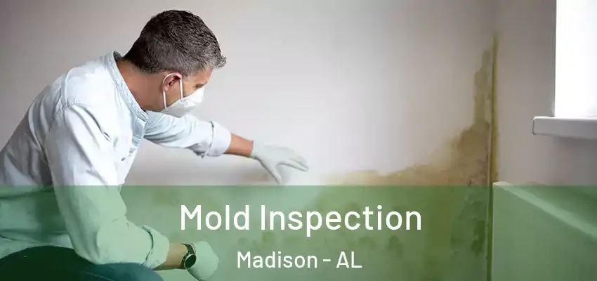  Mold Inspection Madison - AL