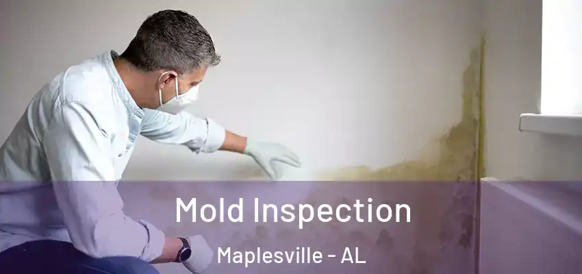 Mold Inspection Maplesville - AL