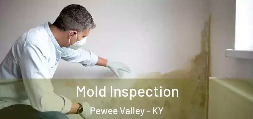 Mold Inspection Pewee Valley - KY