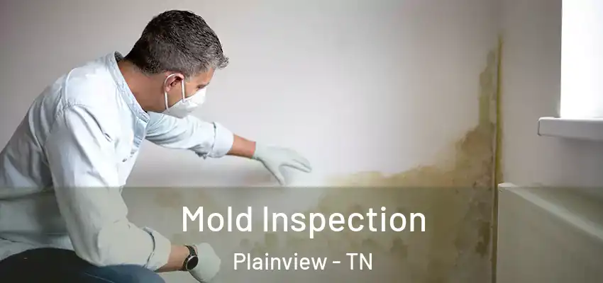 Mold Inspection Plainview - TN
