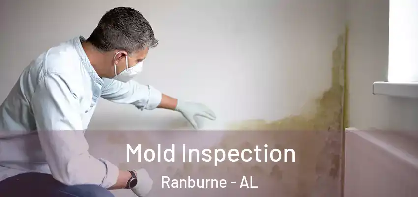  Mold Inspection Ranburne - AL