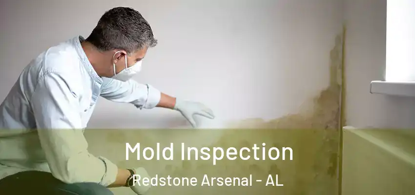 Mold Inspection Redstone Arsenal - AL
