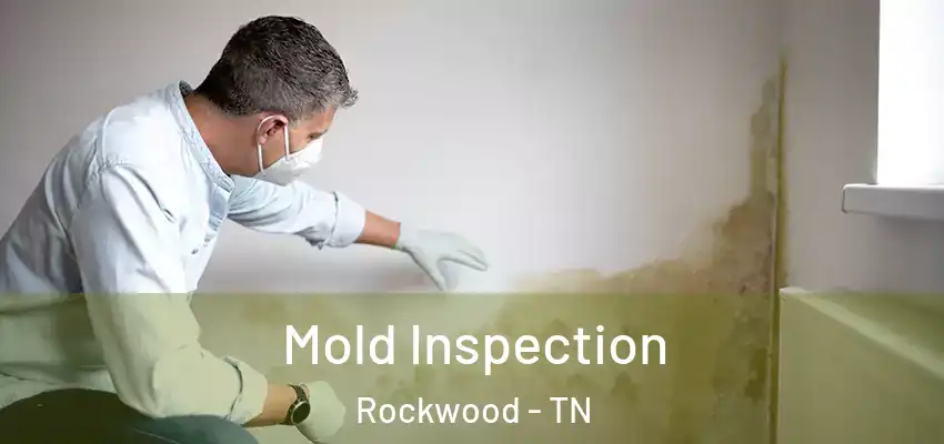  Mold Inspection Rockwood - TN