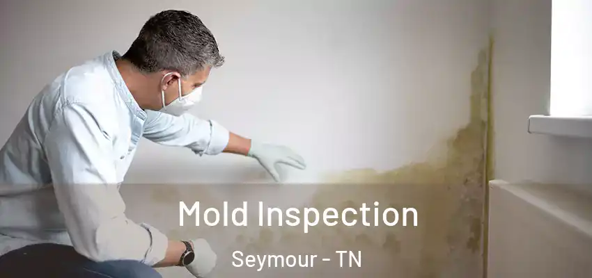  Mold Inspection Seymour - TN