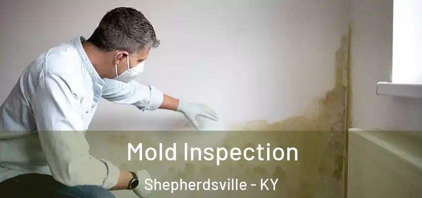 Mold Inspection Shepherdsville - KY