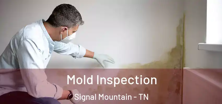 Mold Inspection Signal Mountain - TN