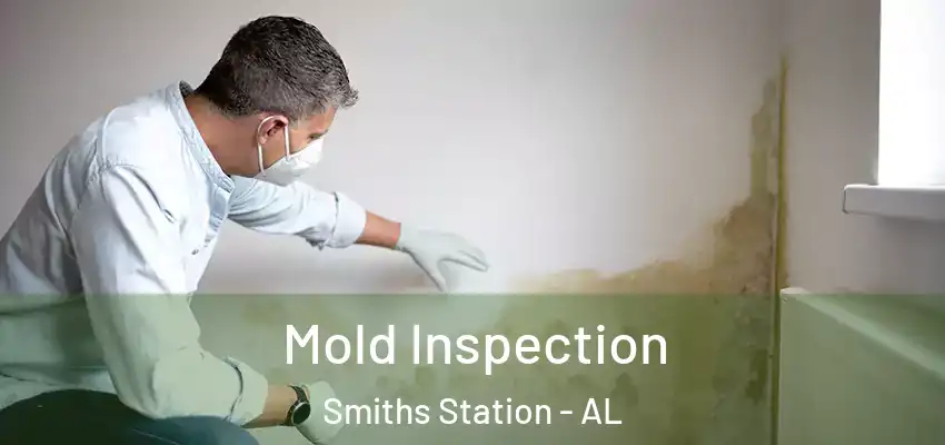 Mold Inspection Smiths Station - AL