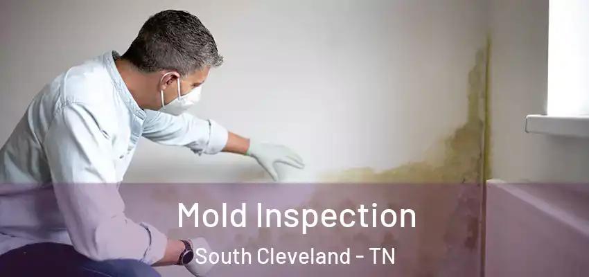 Mold Inspection South Cleveland - TN