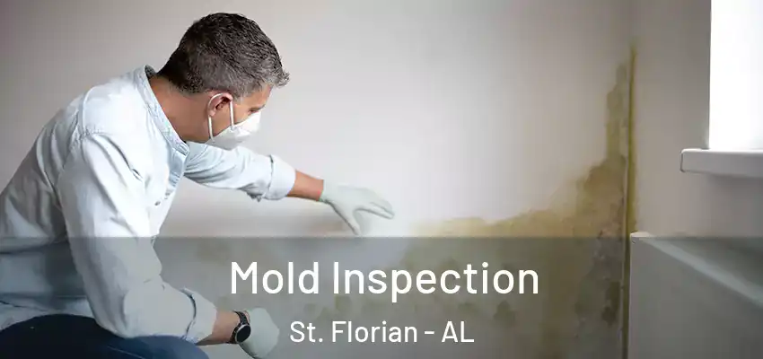 Mold Inspection St. Florian - AL