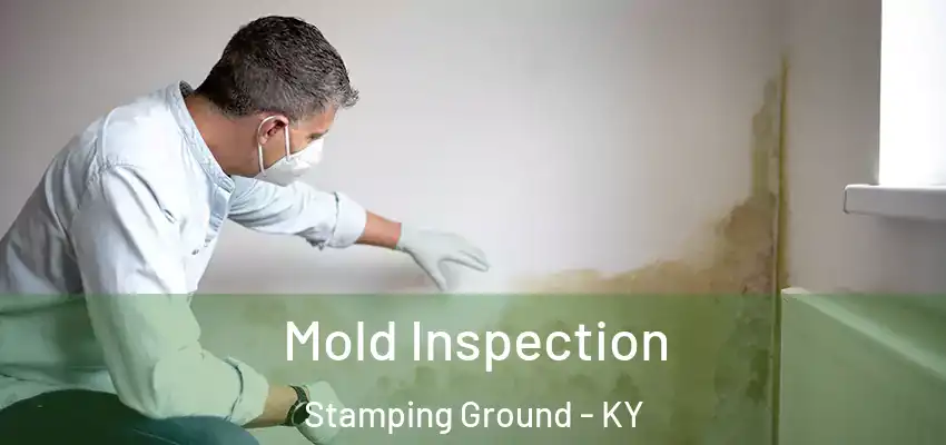  Mold Inspection Stamping Ground - KY