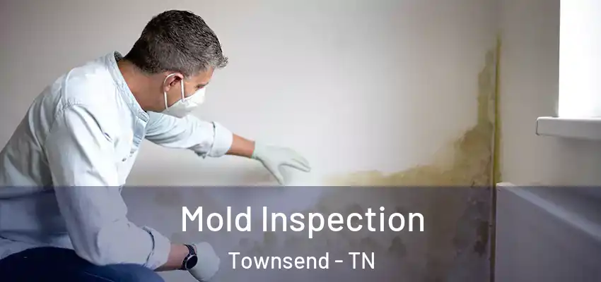  Mold Inspection Townsend - TN