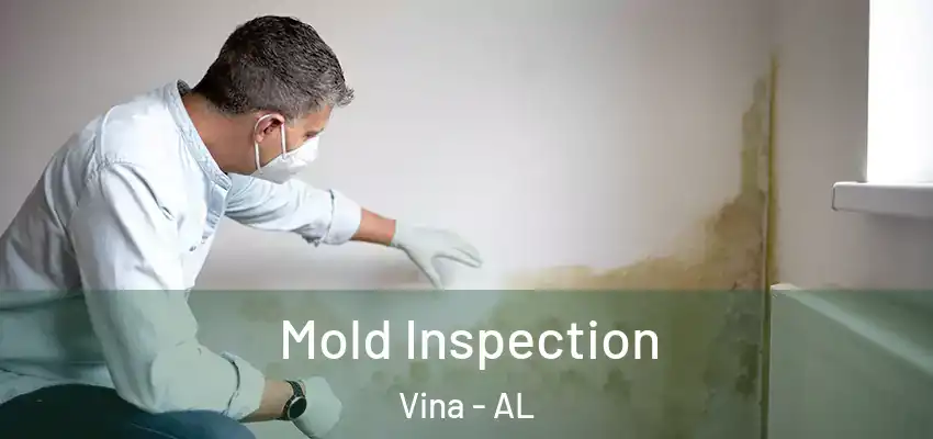 Mold Inspection Vina - AL