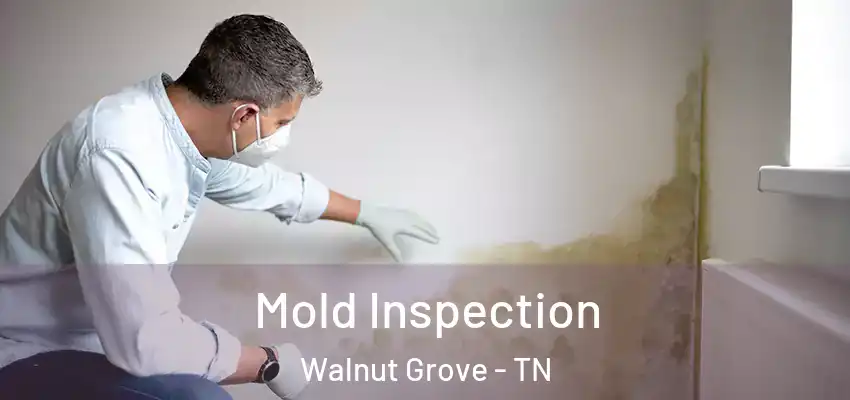 Mold Inspection Walnut Grove - TN