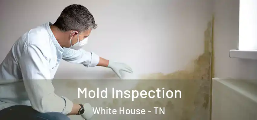 Mold Inspection White House - TN