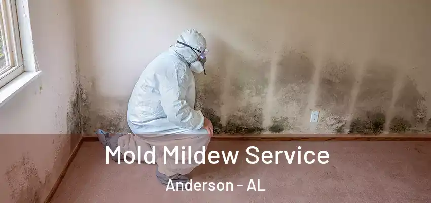 Mold Mildew Service Anderson - AL