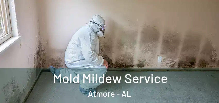  Mold Mildew Service Atmore - AL