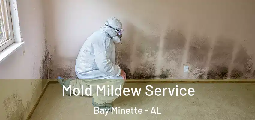  Mold Mildew Service Bay Minette - AL