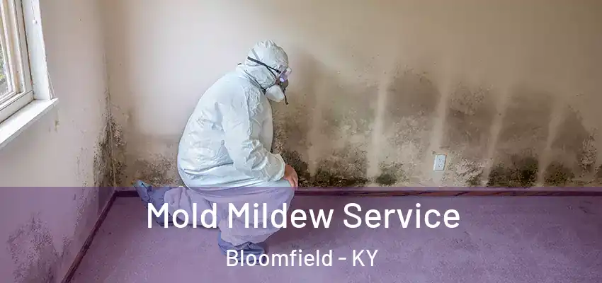  Mold Mildew Service Bloomfield - KY