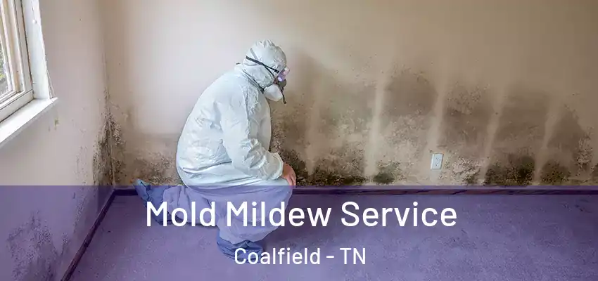 Mold Mildew Service Coalfield - TN