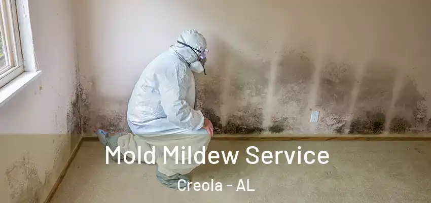  Mold Mildew Service Creola - AL