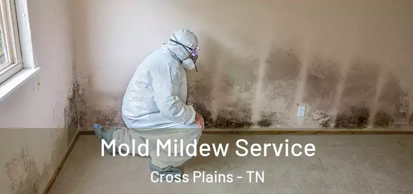 Mold Mildew Service Cross Plains - TN
