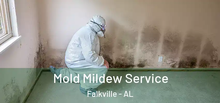  Mold Mildew Service Falkville - AL