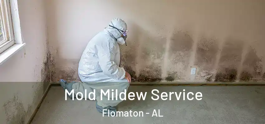 Mold Mildew Service Flomaton - AL