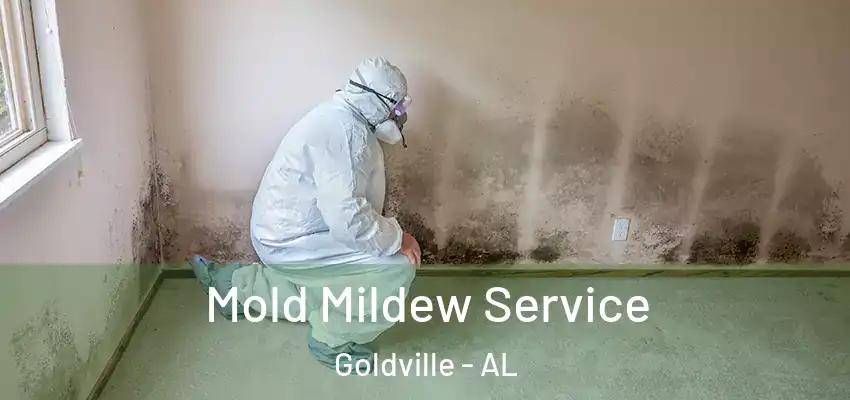  Mold Mildew Service Goldville - AL