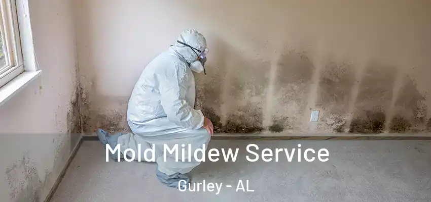  Mold Mildew Service Gurley - AL