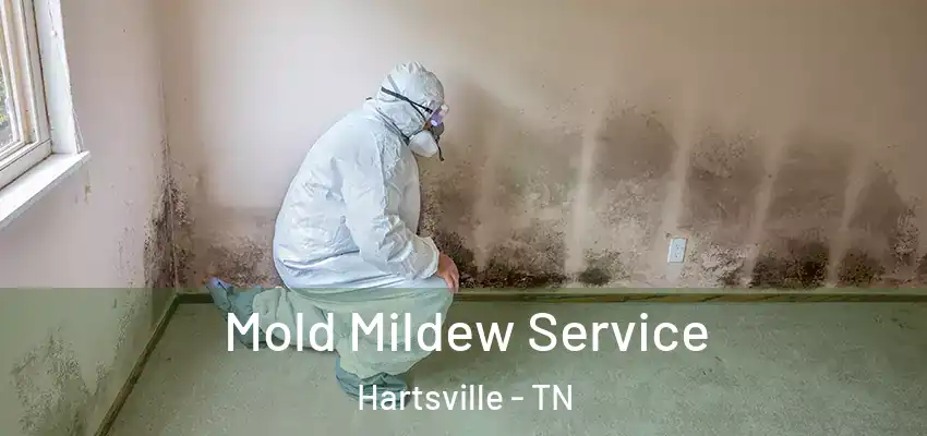  Mold Mildew Service Hartsville - TN