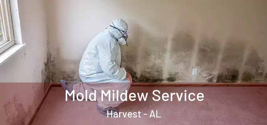  Mold Mildew Service Harvest - AL