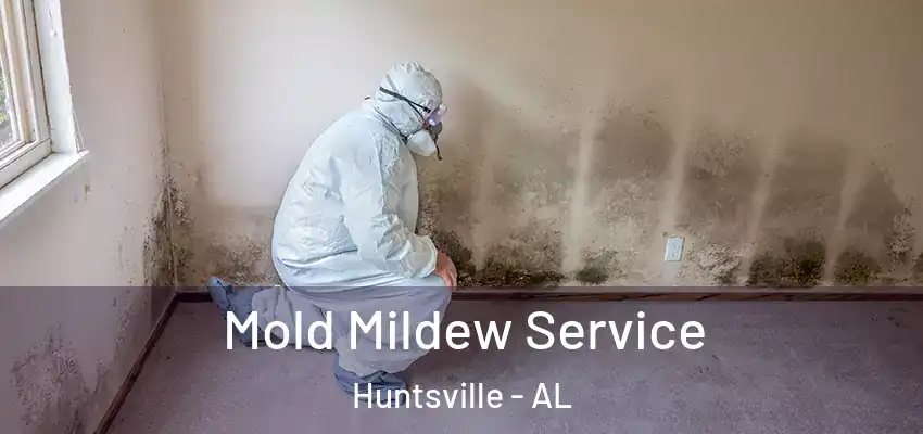 Mold Mildew Service Huntsville - AL