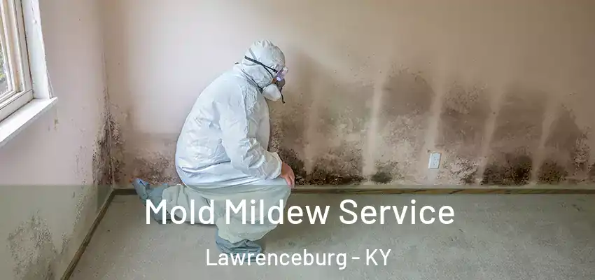 Mold Mildew Service Lawrenceburg - KY