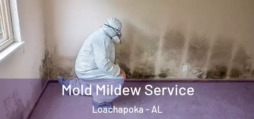 Mold Mildew Service Loachapoka - AL