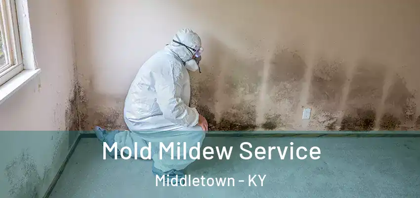 Mold Mildew Service Middletown - KY