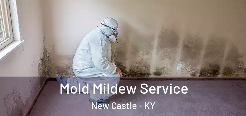 Mold Mildew Service New Castle - KY