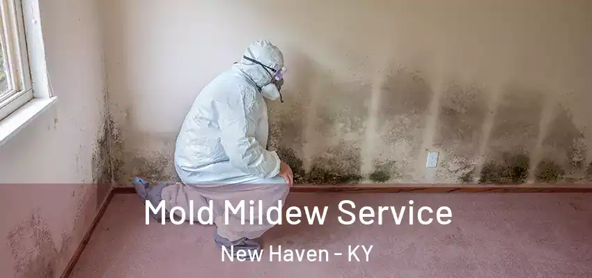  Mold Mildew Service New Haven - KY